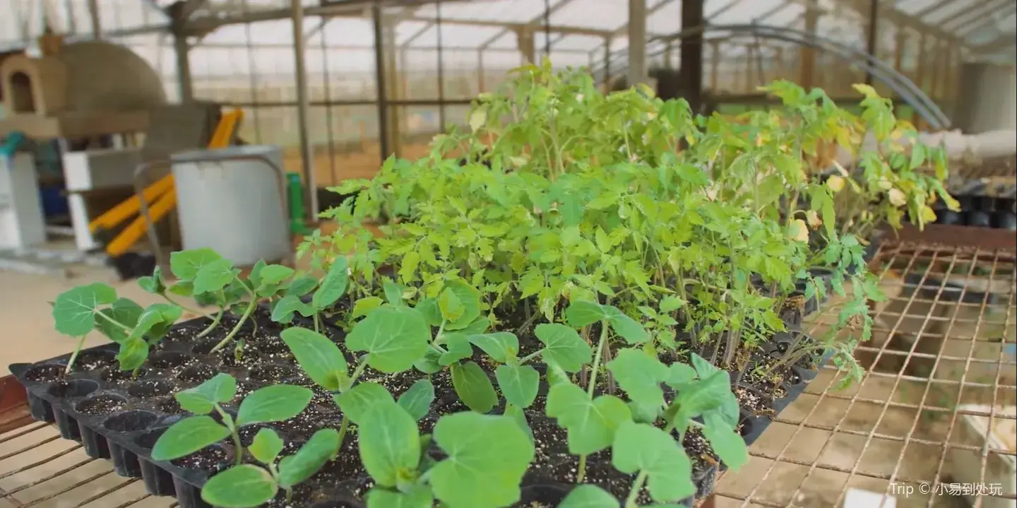 2_青協有機農莊