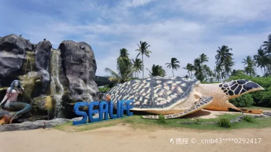 Sea Turtle Farm and Hatchery - Habaraduwa