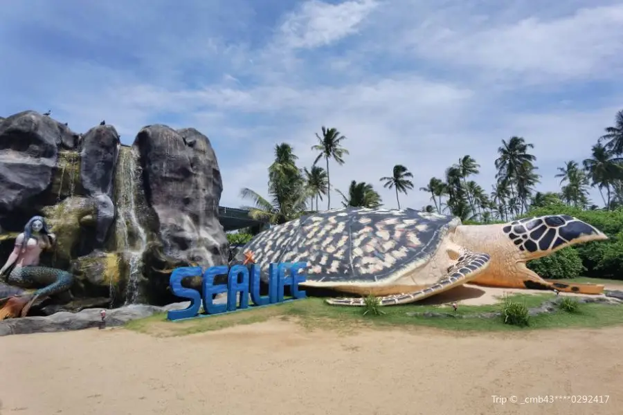 Sea Turtle Farm and Hatchery - Habaraduwa