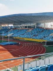 Pedro Ludovico Olympic Stadium