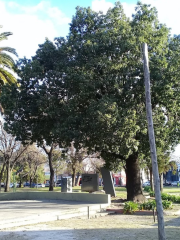 Plaza Hipólito Yrigoyen