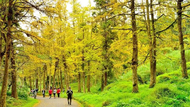 xi tou sen lin you le qu