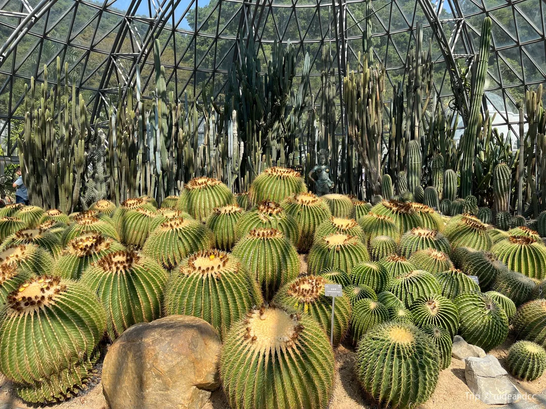 2_Desert Plant Floras