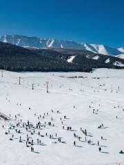 松樹塘滑雪場