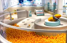 Planet Mino Kids Club