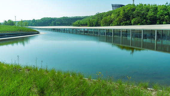 zai shui mei shu guan