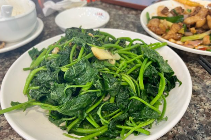 符记正宗文昌鸡老店·后院自养农家鸡