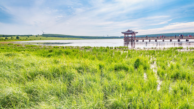 hai zhu ge ge wai jing di