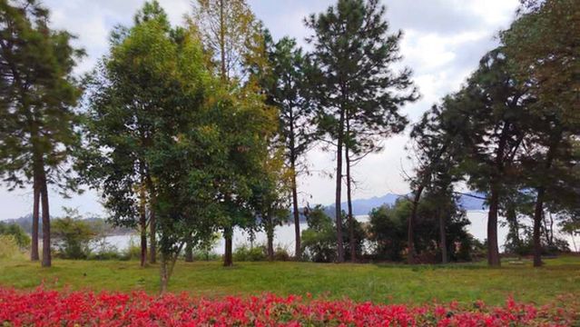 Qiandaohu Southwest Lake District