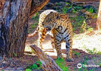 Santa Cruz Zoo