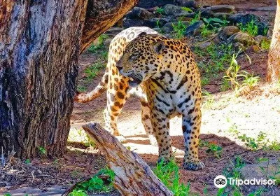 Santa Cruz Zoo