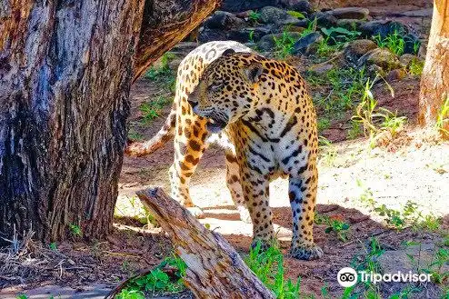 Hotels near Santa Cruz Zoo