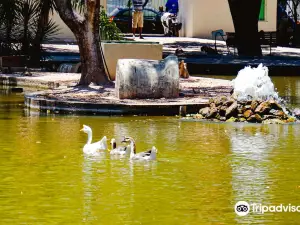 13 de Maio Park
