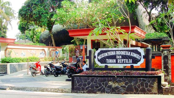 Komodo Indonesian Fauna Museum and Reptile Park