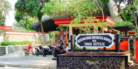 科莫多龍博物館