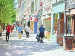 Downtown Ithaca Alliance (The Ithaca Commons)