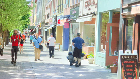 Downtown Ithaca Alliance (The Ithaca Commons)