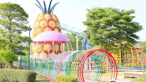 Hamamatsu Fruit Park Tokinosumika