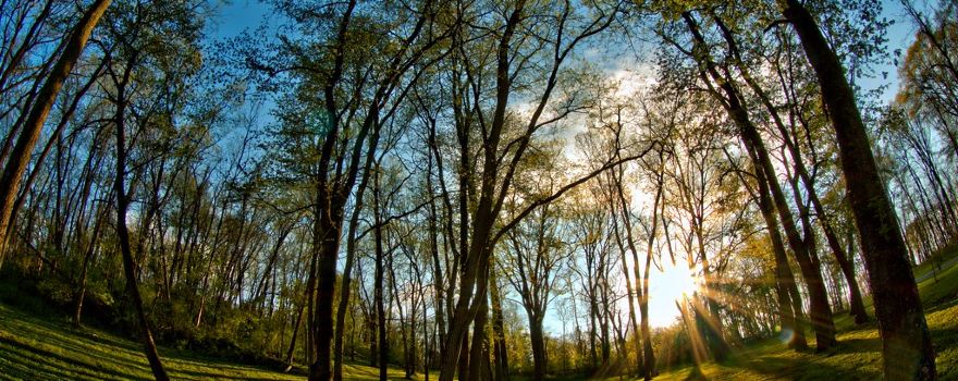 Klines Run Park