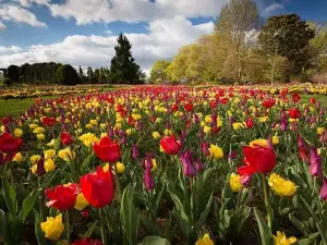 Hahn Horticulture Garden