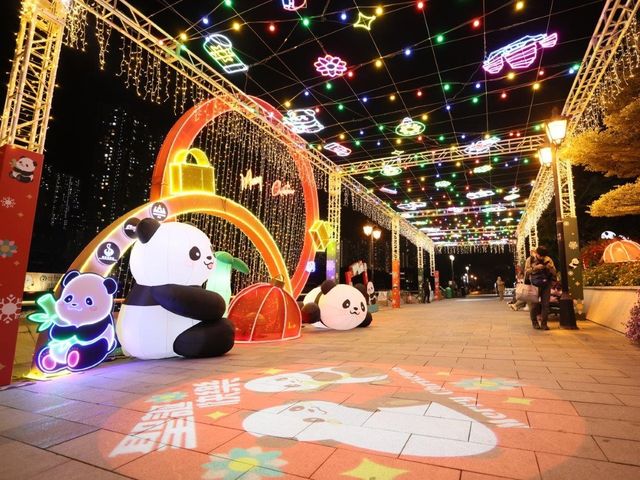 香港南區節慶熊貓燈飾 | 香港