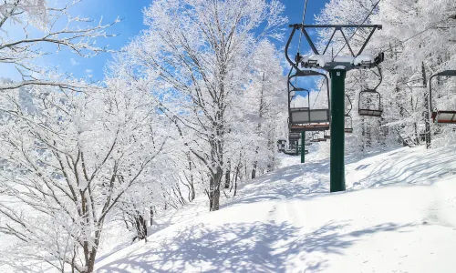 Skiing in Niigata