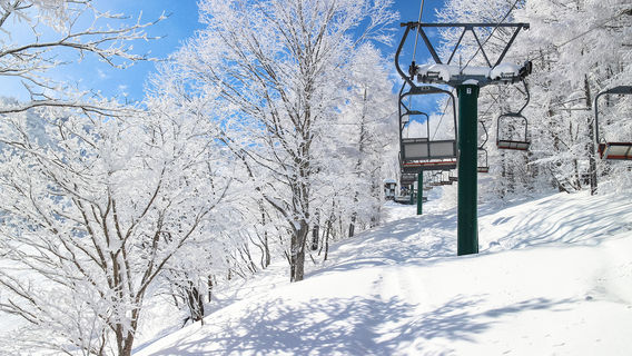 Skiing in Niigata