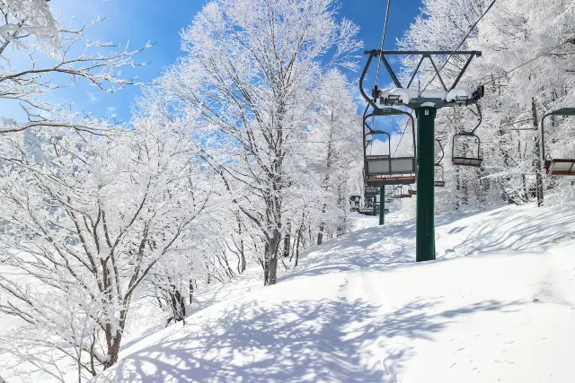 新潟縣滑雪