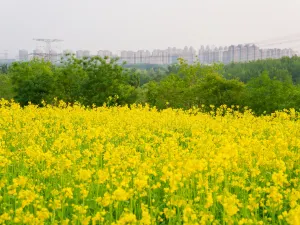 Beijing Wenyu River Park