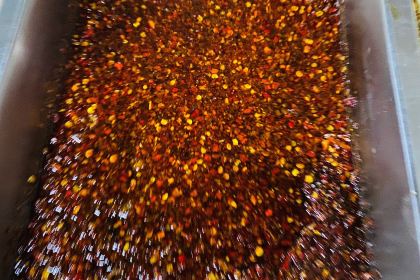 SI SHI ER ZHONG XIAO ROU CHUAN