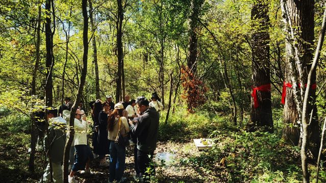 chang bai shan wa ku lu ying di
