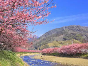 Izu Peninsula