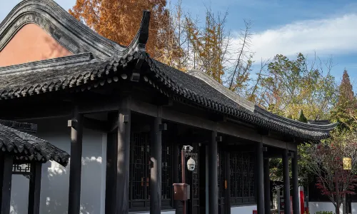 Wenyu Tai (Wenyu Platform)