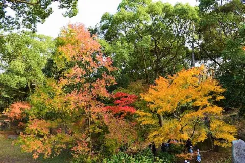 Ohori Park