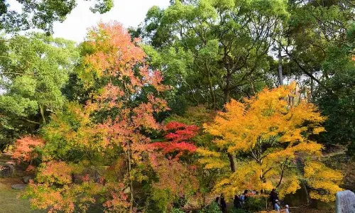 Parco Ohori