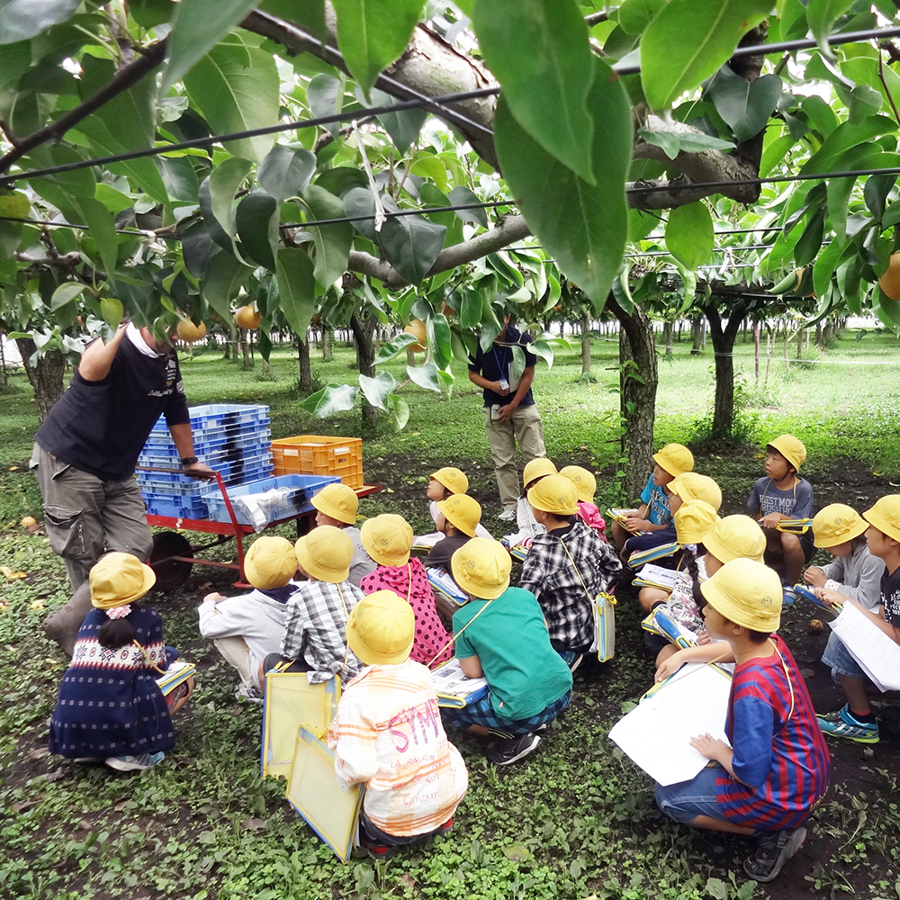 Yamaguchi Orchard Autumn Thanksgiving Festival | Utsunomiya