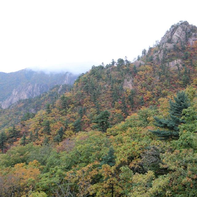 Mt. Seoraksan