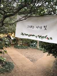 제주 동백꽃 구경 ‘카멜리아힐’
