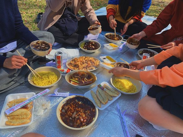 벚꽃하면 경희대 서울캠퍼스'경희랜드'