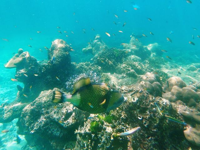 Scuba diving at Ko Bida Nok
