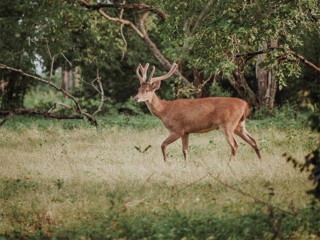 Baluran National Park