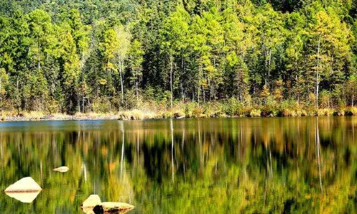 Wuying National Forest Park