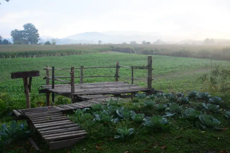 Hotels near Guancenshan National Forest Park