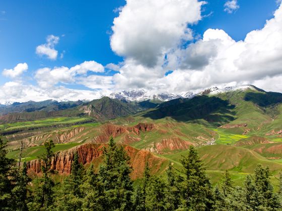 卓爾山風景区