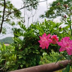 TU ZAO REN GU ảnh của người dùng