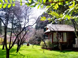 Jiuxiang Forest Campground