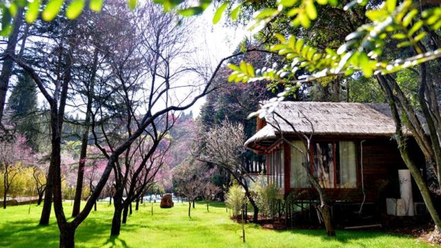 Jiuxiang Forest Campground