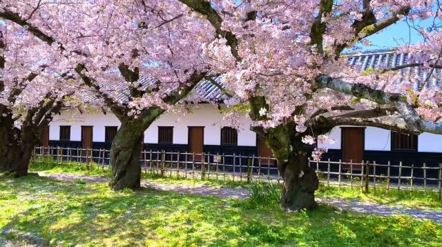 舞鶴公園