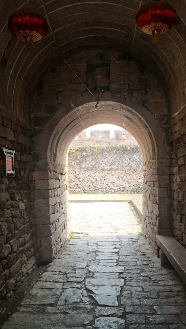 푸좡숴청