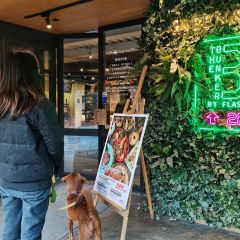 Green & Safe User Photo